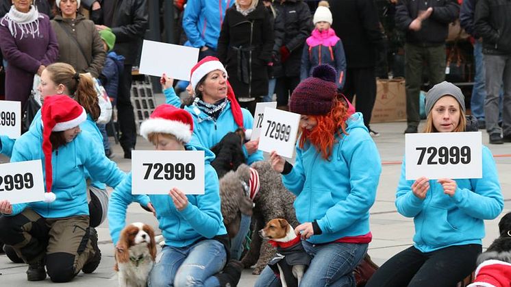 Deltagare i hundflashmob i december 2013