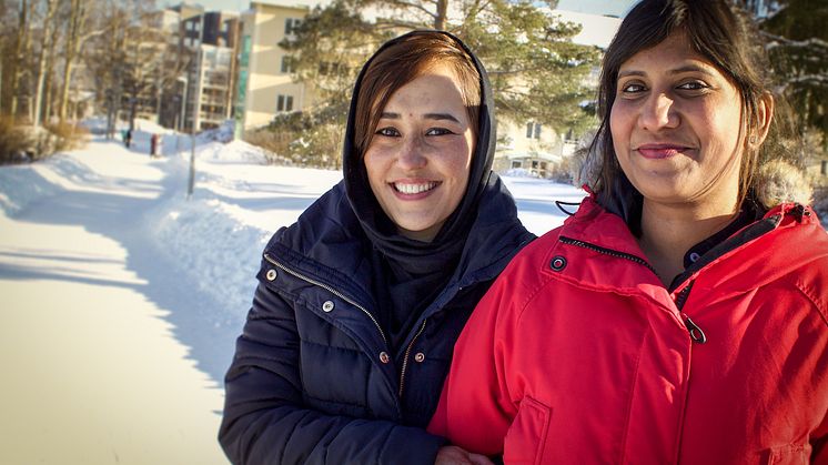 Från andra sidan jorden till Skellefteå