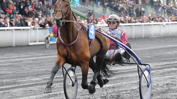Dubbel Jackpot på V75 och Olympiatravets Sista chansen