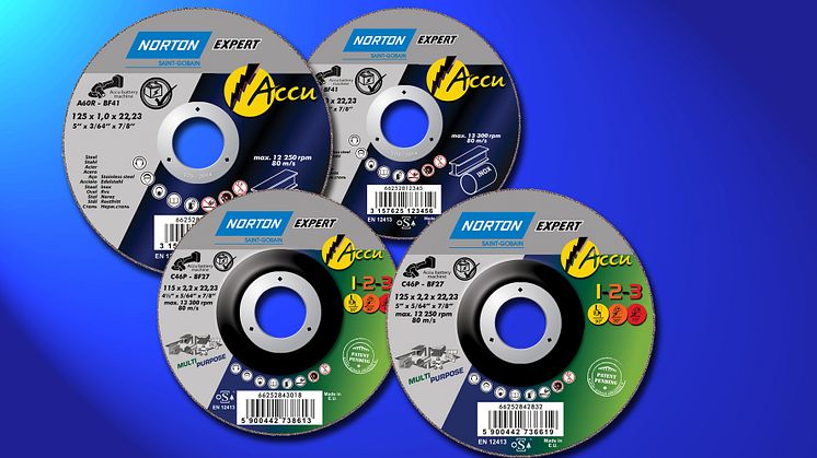 Norton Expert Accu - Tuote
