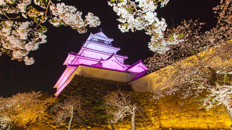 Tsurugajo Castle Park(2)