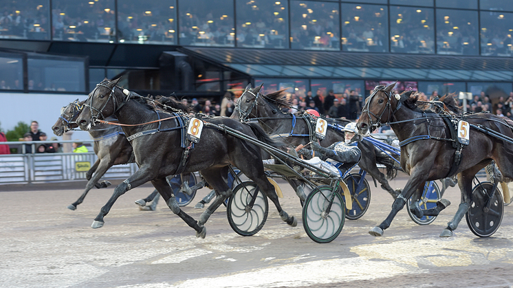 Adriatica och Magnus A Djuse segrade i Svenskt Travoaks. Foto: TR Bild