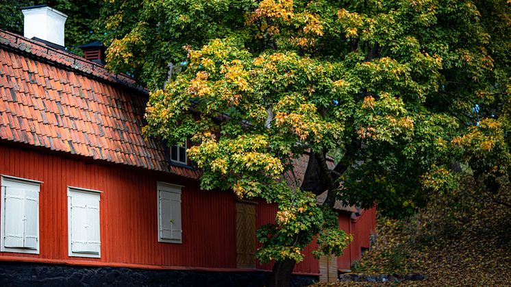 Räntesänkningar skapar fler affärer på bostadsmarknaden men priserna är fortsatt stabila - Kommentar till Svensk Mäklarstatistik