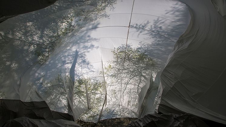 LIFESYSTEMS – NONSPACE, 2019. Vy inifrån. Peter Geschwind & Gunilla Klingberg.    
