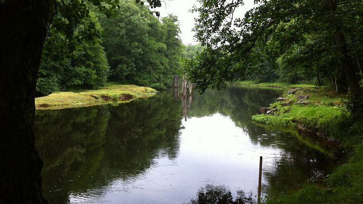 Örekilsälven 1