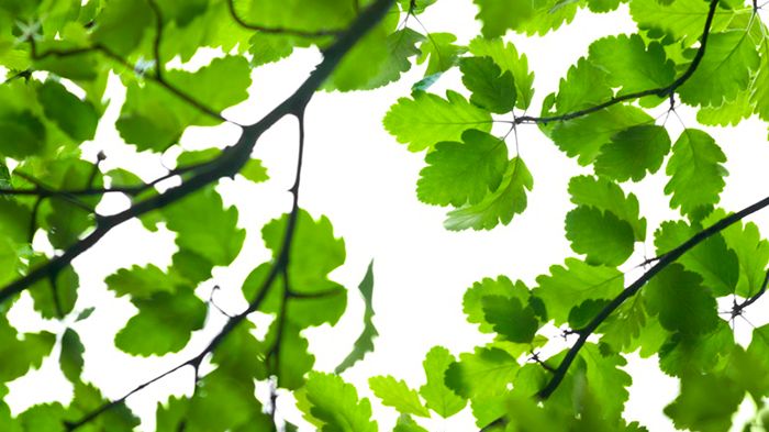 Örebro kommun tar ytterligare ett kliv framåt i klimatarbetet