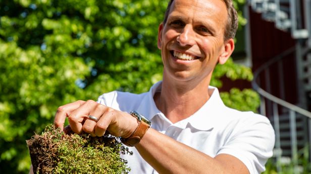 VegTech och Urban Green förenas under ett varumärke