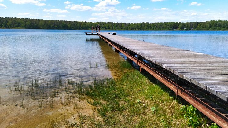Bei Touristen beliebt: Natur und Ruhe in Brandenburg - hier beispielsweise am Grünheider Störitzsee im Seenland Oder-Spree. Foto: Gemeinde Grünheide (Mark). 