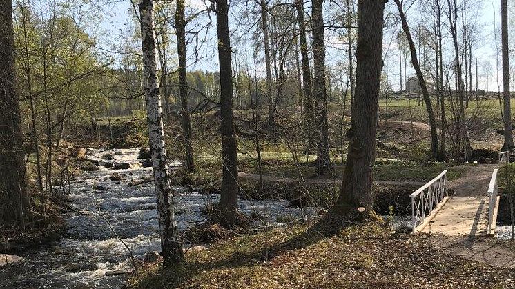 Pressinbjudan: Välkommen på invigning av nyrestaurerade Engelska parken i Kloster
