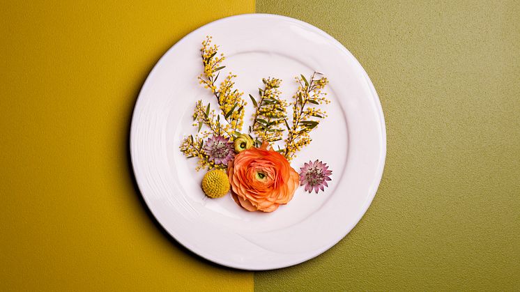 Alcro Rosé är månadens kulör i mars