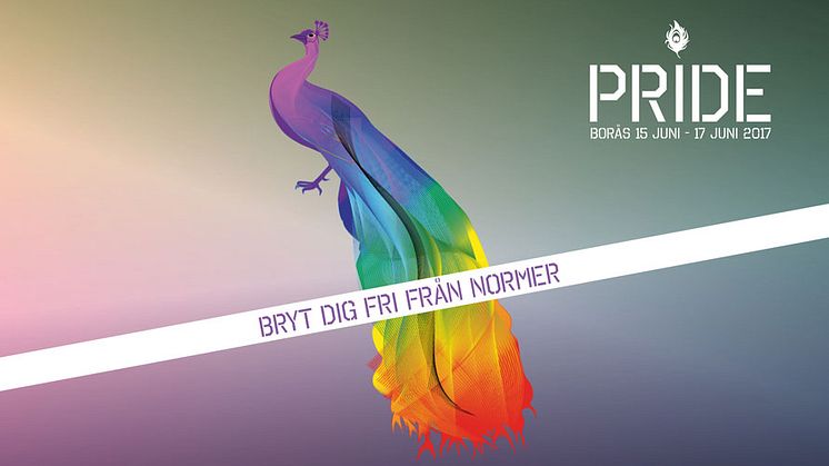 Pride på Borås Konstmuseum