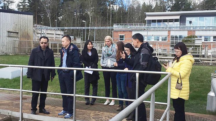 Många utländska grupper söker sig till bl a Dalarna för att lära mer om hållbara och klimatsmarta miljöer.