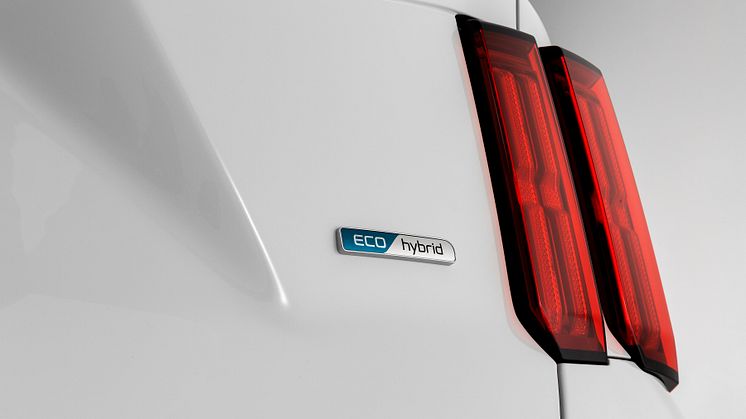 rear led lamps with Eco hybrib emblem