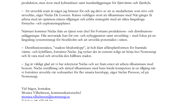 Niclas De Lorenzi ny nätchef på Norrenergi