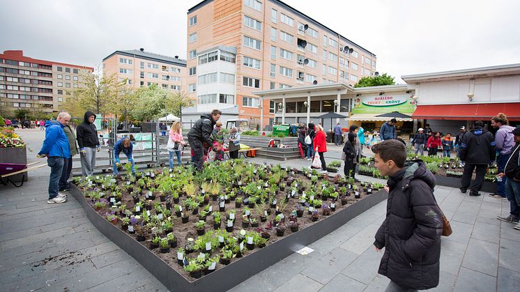Nya planteringar - av och för Hjällboborna på torget.