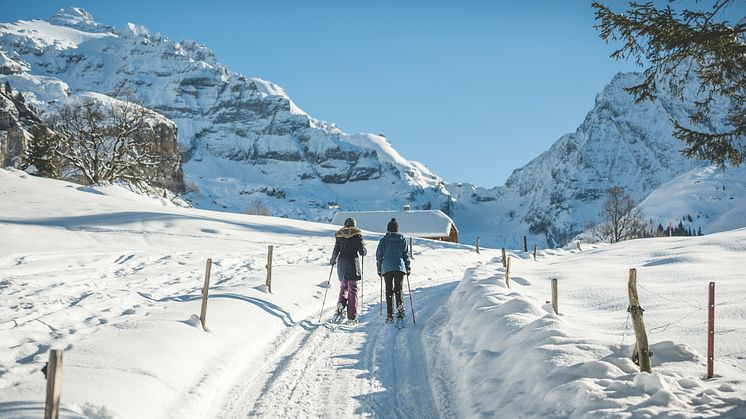 Schneeschuhwandern im Kiental (Berner Oberland) 