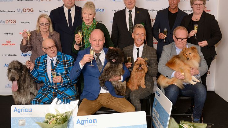 Finalisterna Årets utställningshund 2018