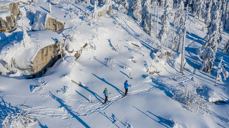 Fichtelberg vintervandring i naturpark  Fichtelgebirge © DZT/Florian Trykowski