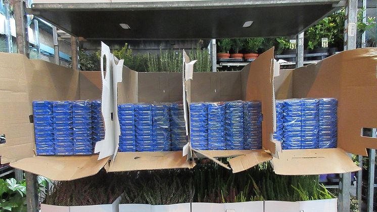 Father and son tobacco smugglers jailed