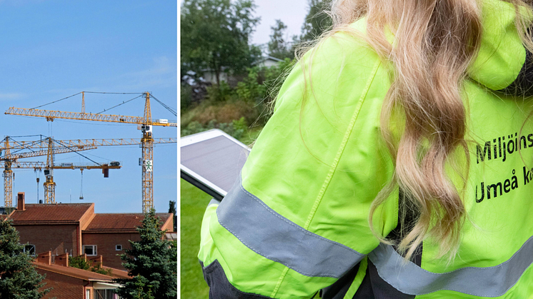 När Bygglov effektiviserade sin ärendehantering samtidigt som bygglovsärendena minskade utbildades medarbetare från Bygglov för att arbeta med miljö- och hälsoskyddsfrågor.