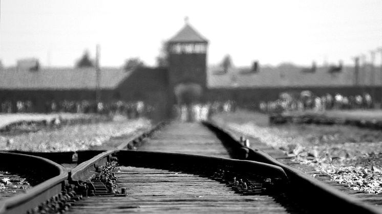 Auschwitz-Birkenau Foto: Ron Porter Pixabay