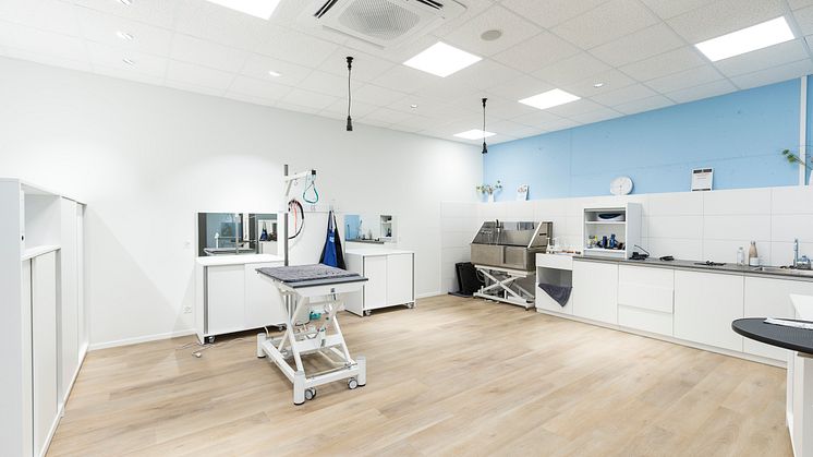 Fressnapf_Salon_2 - Kopie.jpg