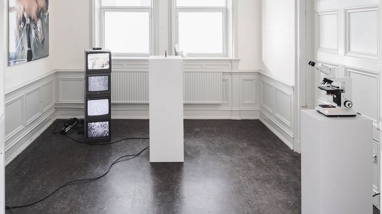 Linnéa Ndangoya Palmcrantz, installationsrum avgångsutställning Konstakademien, 2023. Foto: Jean-Baptiste Béranger