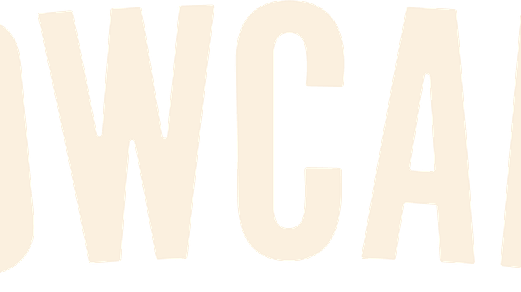 Lowcaly logga beige Png