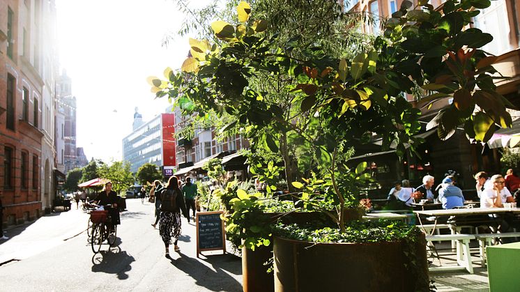 Sommargata på Friisgatan förra året. Snart får Kärleksgatan samma skepnad.