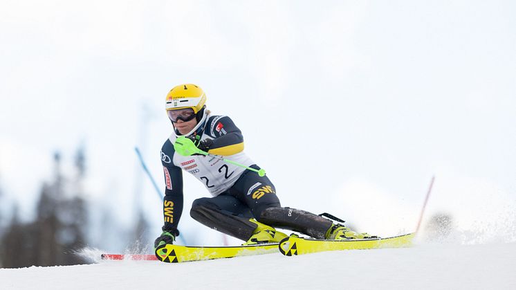 Bildförslag: Axel Lindqvist, Sundsvalls SLK, är regerande svensk mästare i slalom och får chansen att upprepa bedriften på hemmaplan i mars. Foto: Niklas Axhede