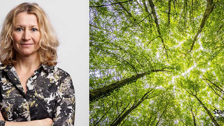 Karin Ruiz, vice VD på Sting och initiativtagare till Startup Climate Action