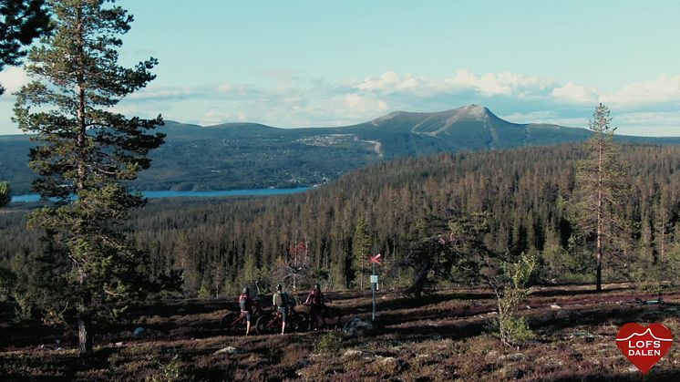 Stigcykling i Lofsdalen