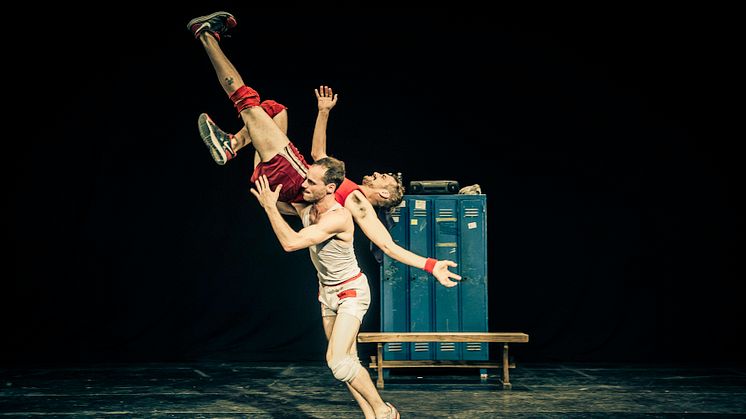 Un Poyo Rojo. Foto: Ishka Michocka