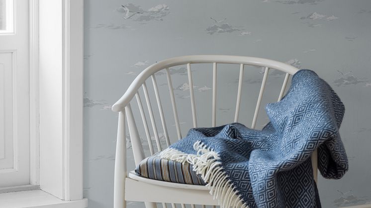 Seagulls 8856