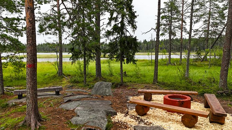 Grössjöns naturreservat