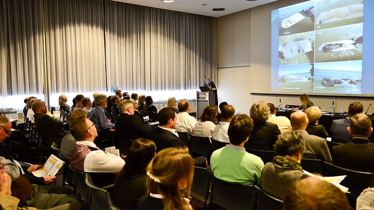 High res image - Interspill 2018 - image from Interspill 2015 in Amsterdam