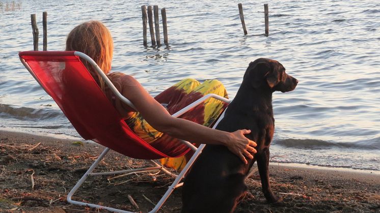 Seul Hund, Meer