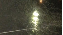 Major rail disruption between Walsall and Birmingham following tree fall