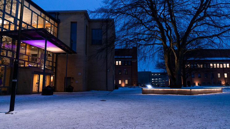 Pressinbjudan: Högskolans forskare presenterar årets Nobelpris