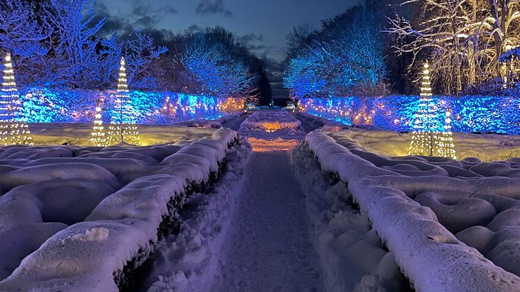 Vinter på Norrviken –  lekfullt, kontrastrikt och tid för gemenskap 