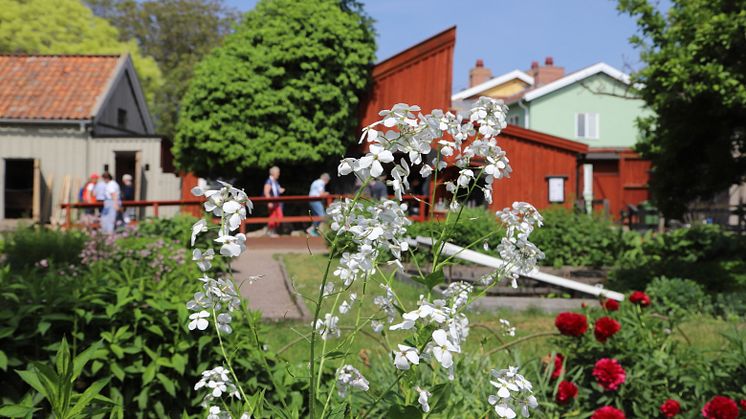 Pressinbjudan: Smygöppning och guidning på Krusenstiernska gården