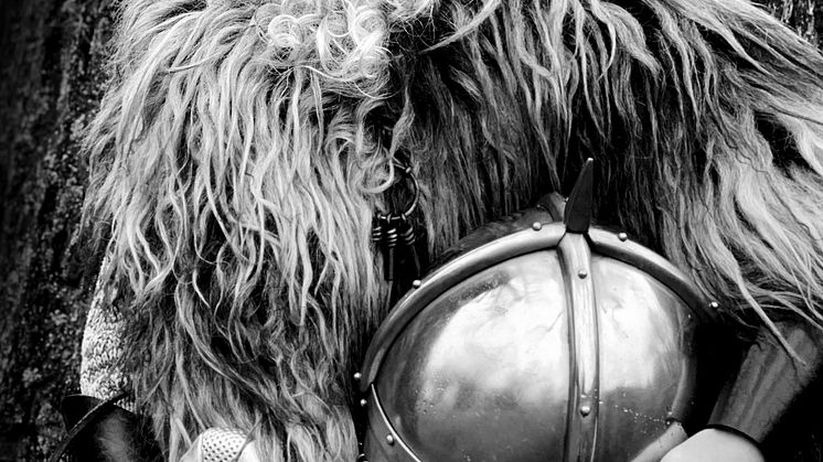 THEVIKINGMUSEUM_VIKING_2