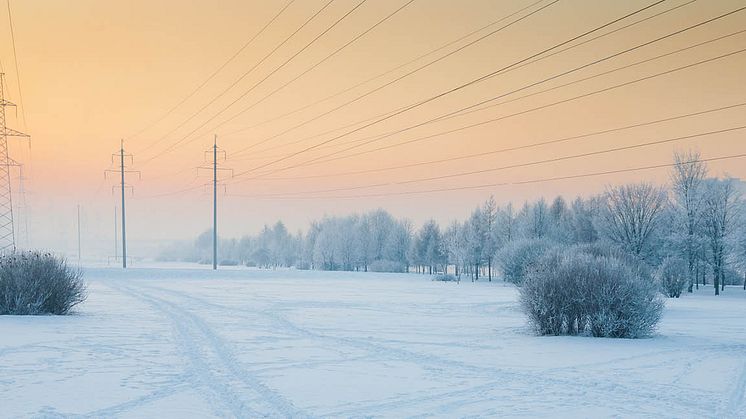 el_1280x650px_dec21
