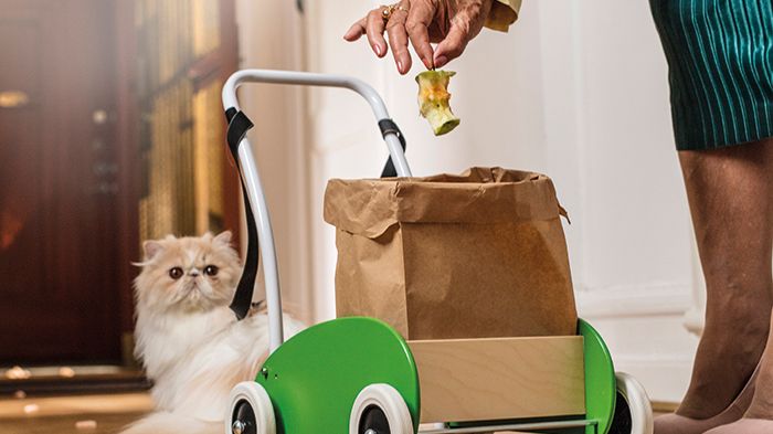Har du ett överjordiskt tålamod? Då kan du säkert dressera en katt som tar ut ditt matavfall. Men du kan ju också ta ut det själv.