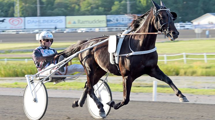 Makethemark är klar för Elitloppet 2020