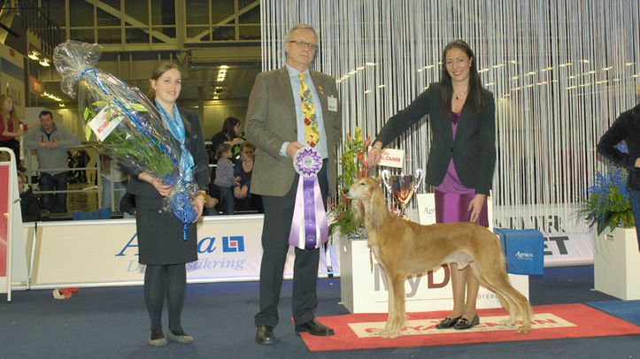 MyDOG 2012