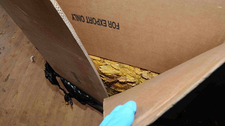 Op Eel raw tobacco seized by HMRC