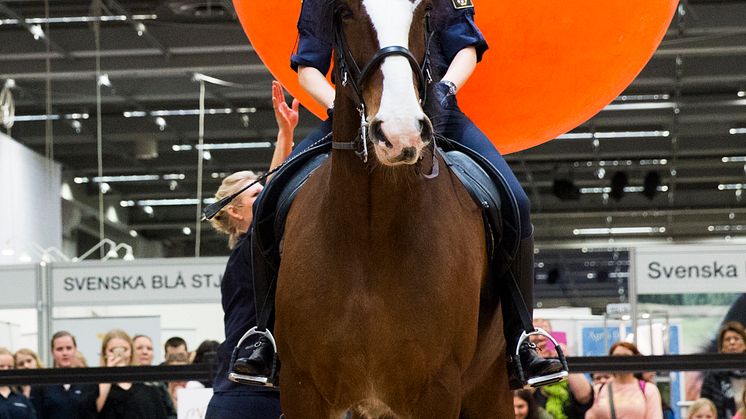 Polisrytteriet hade uppvisning på EuroHorse