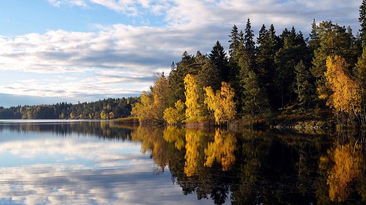 ​REGIONEN SAMARBETAR FÖR ATT UTVECKLA BESÖKSNÄRINGEN OCH HYLLAR GODA EXEMPEL