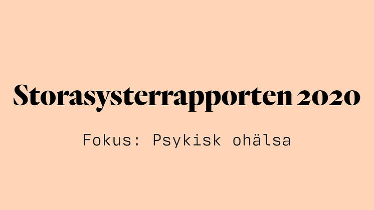 Storasysterrapporten 2020